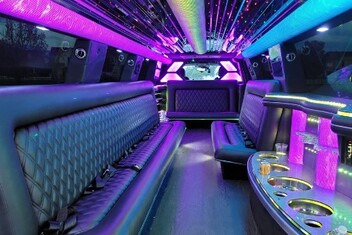 Homestead Limo Interior